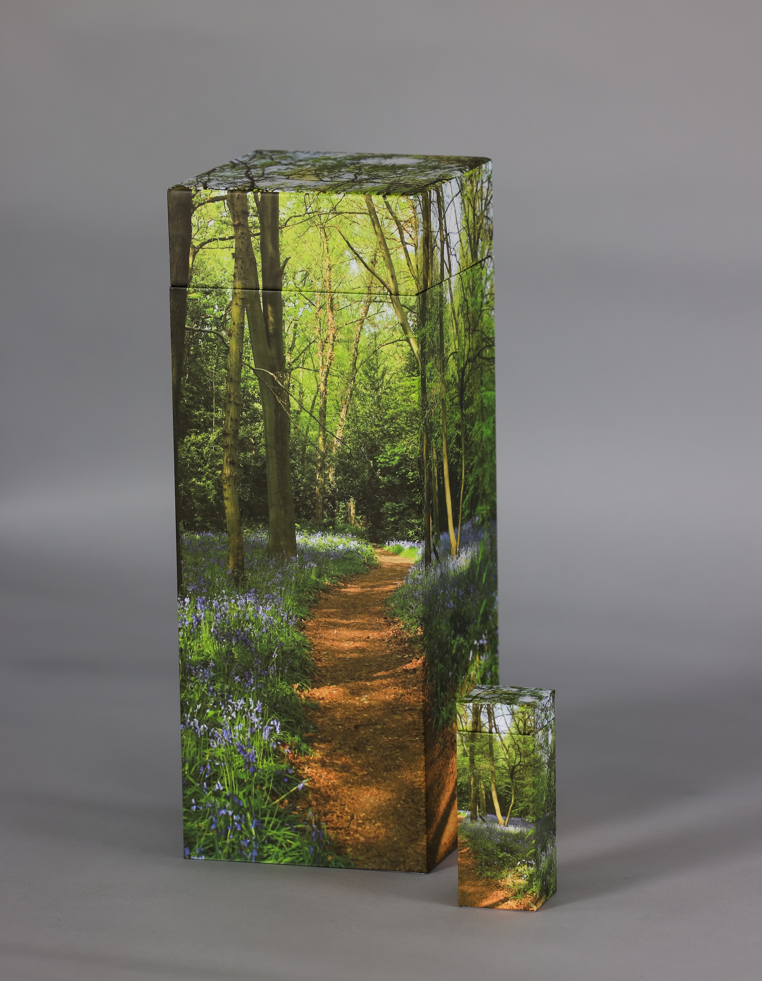 Ashes Biodegradable Scatter Tube