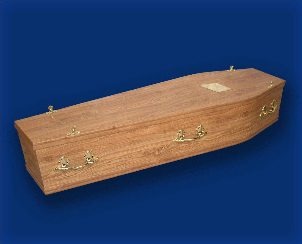 The Celebration of Life Simple Coffin