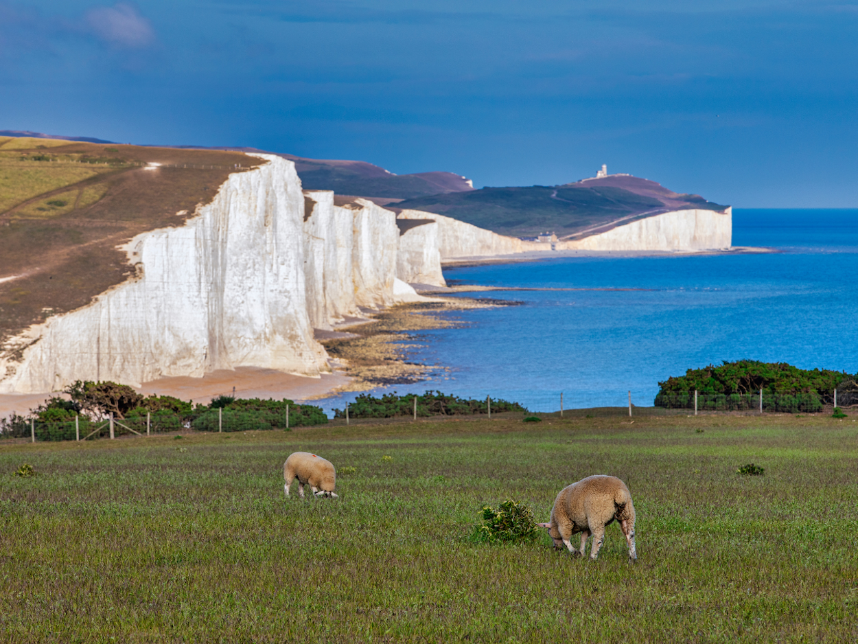 Stunning Places to Scatter a Loved One’s Ashes in East Sussex, UK