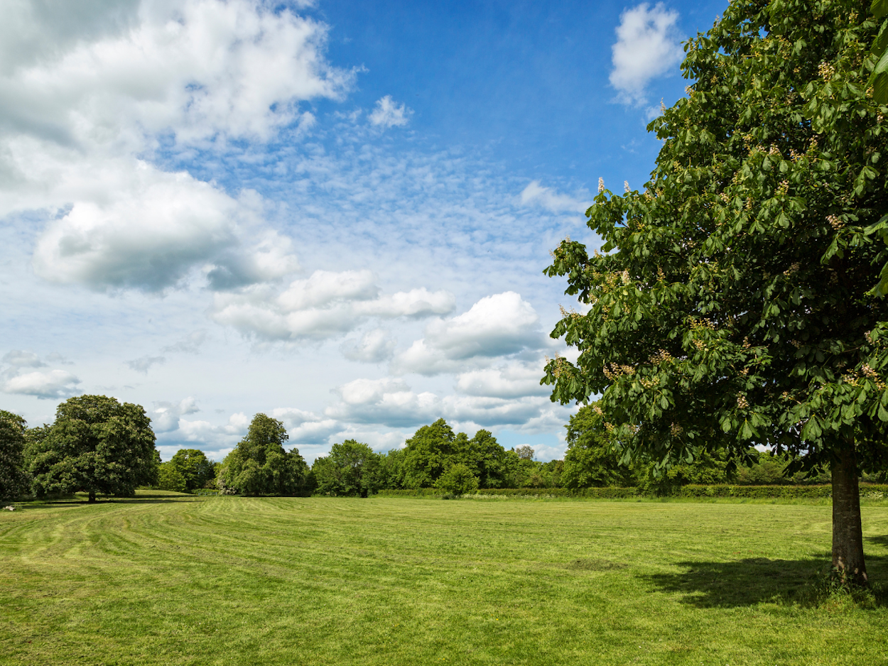 4 Beautiful Places to Scatter a Loved One’s Ashes in Hertfordshire, UK