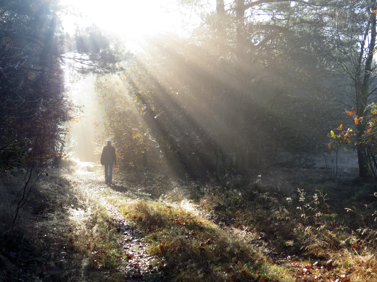 direct cremation celebration
