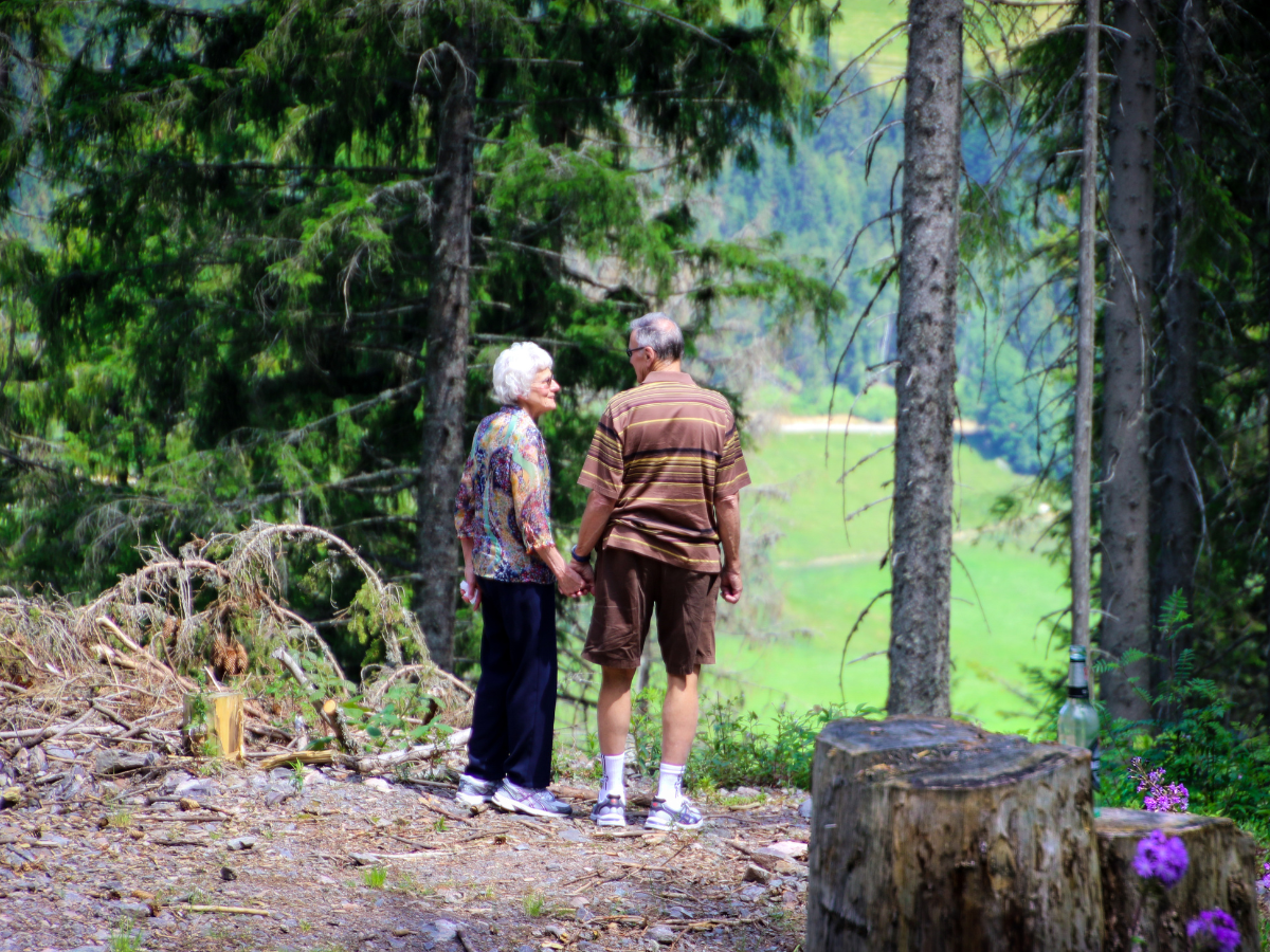 direct cremation plans