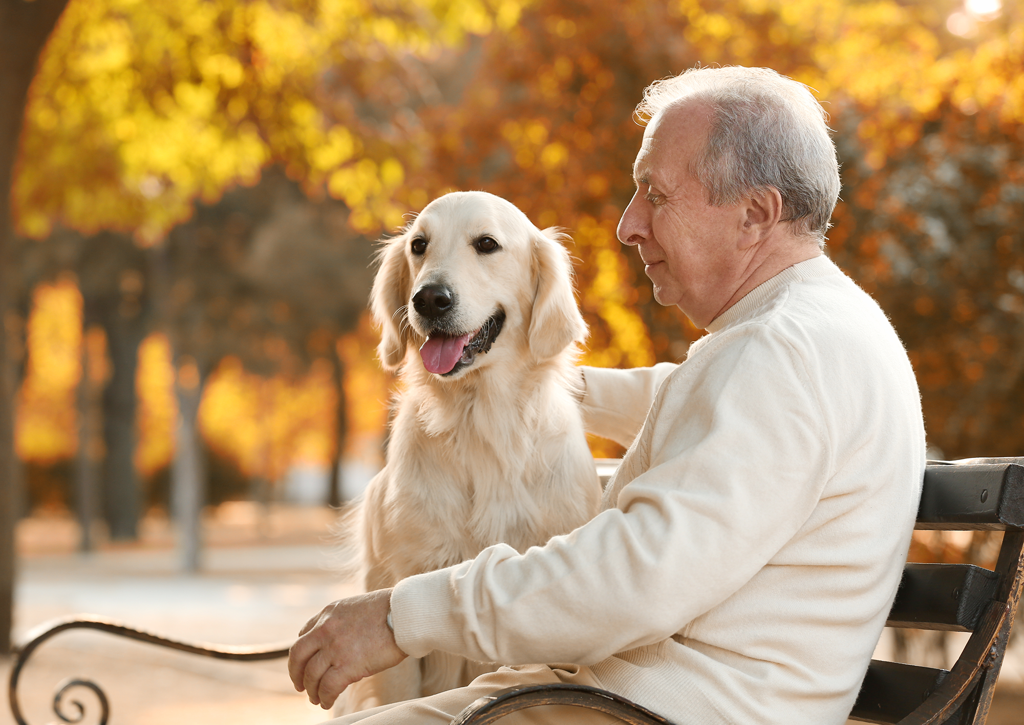 man and dog