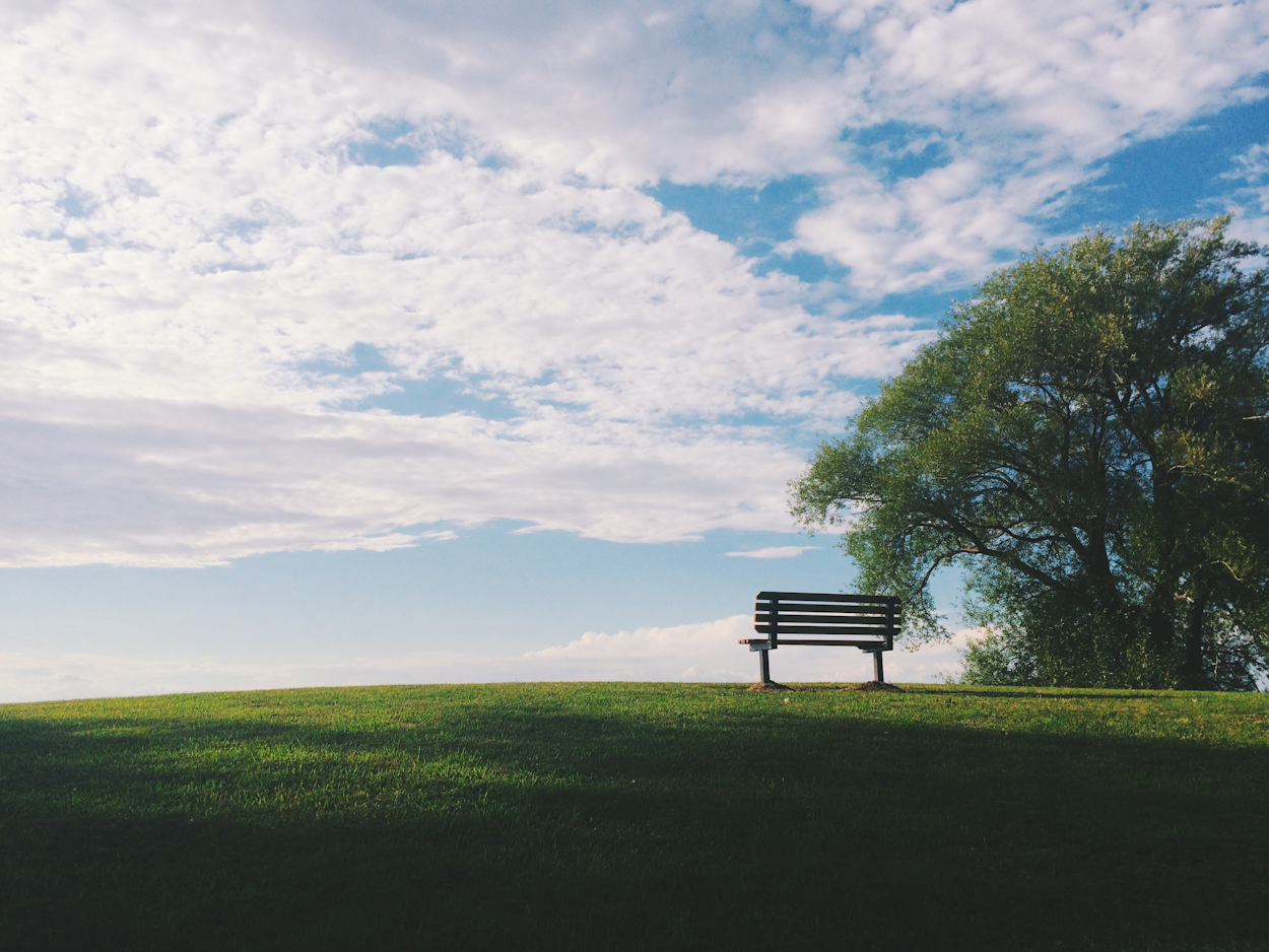 direct cremation memorial bench