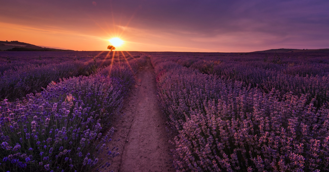A celebration, not a ceremony: How direct cremation redefines saying farewell