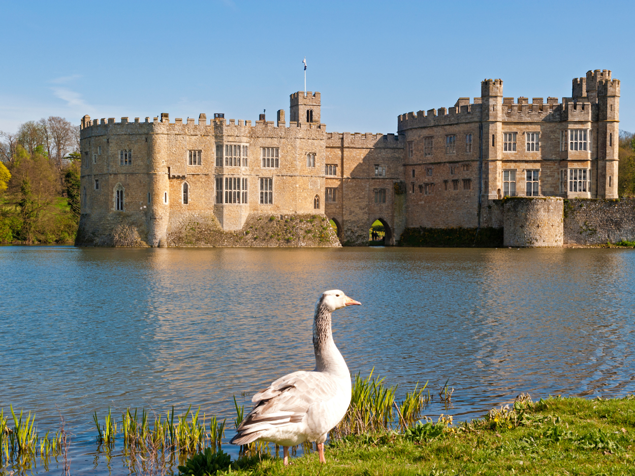 Scatter Their Ashes at Leeds Castle